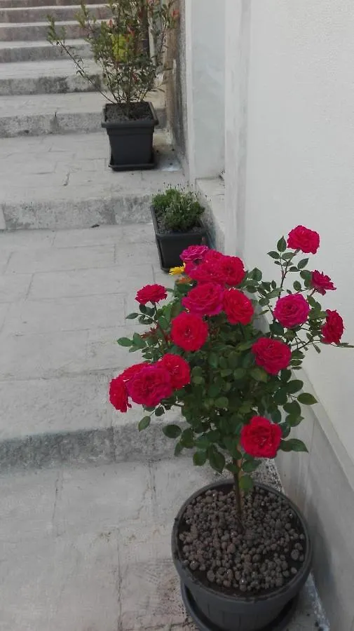 Only For Two Giumbabulla Hotel Ragusa Guest house