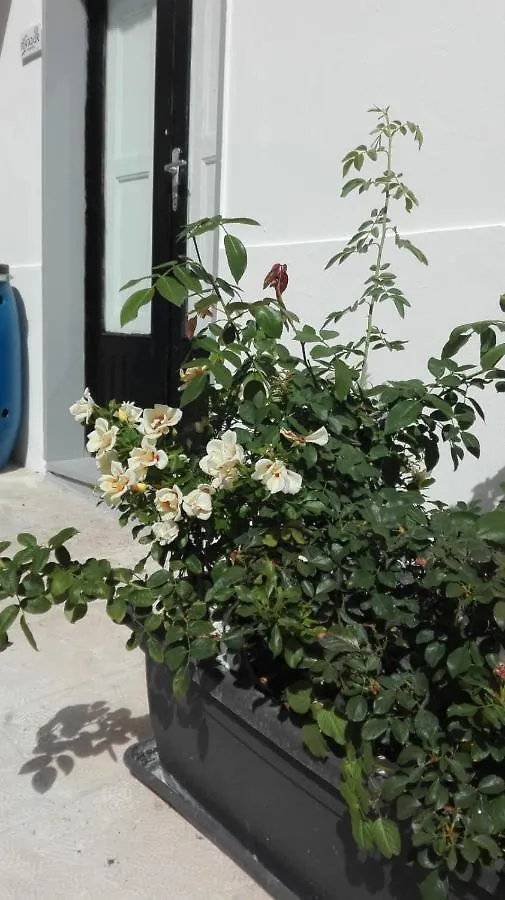 *** Guest house Only For Two Giumbabulla Hotel Ragusa Italy