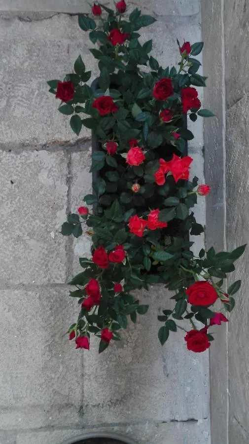 Guest house Only For Two Giumbabulla Hotel Ragusa